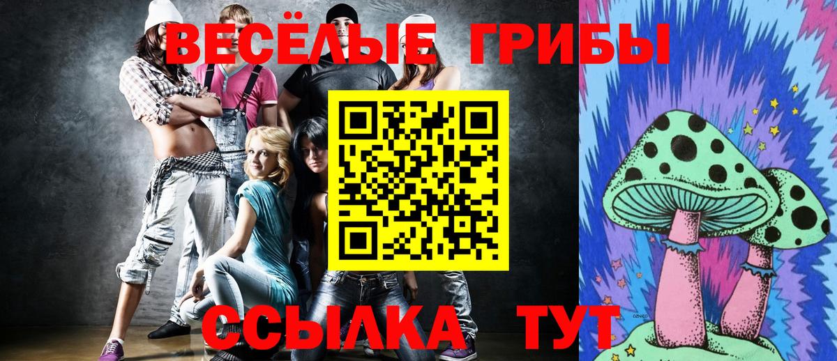 Псилоцибиновые грибы мицелий  Вход с VPN  сколько стоит  Алексин 