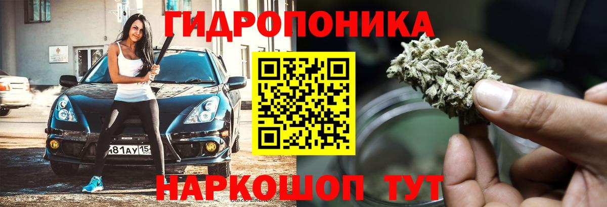 Бошки марихуана VHQ  Марихуана Ganja  Вход с VPN  Шишки марихуана планчик  Алексин  Конопля Bruce Banner 